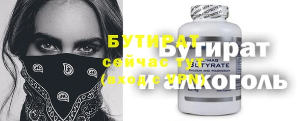 индика Ладушкин