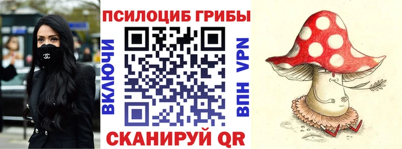 где найти наркотики Катайск Галлюциногенные грибы Psilocybe